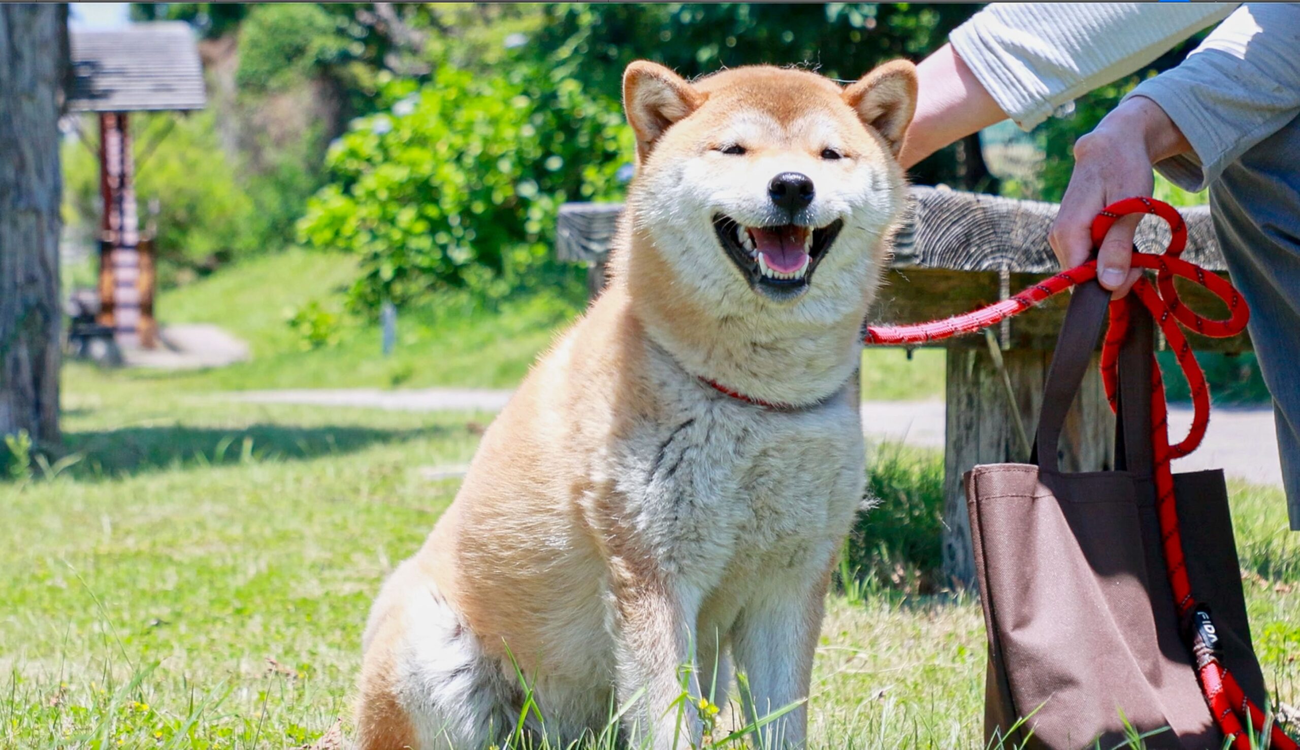 こちらにタイトルが入ります